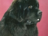 cash-national-2009-9-moslg