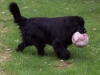 chell_ball