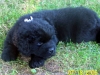 esther_6_wks