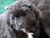 lg-jovie-034