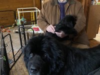 Piper-IMG_0949