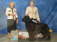 Piper-IMG_1047