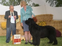 Piper-IMG_1050