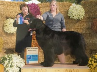 Piper-IMG_1051