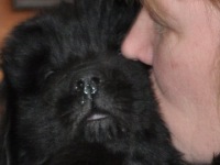 Piper-IMG_2272